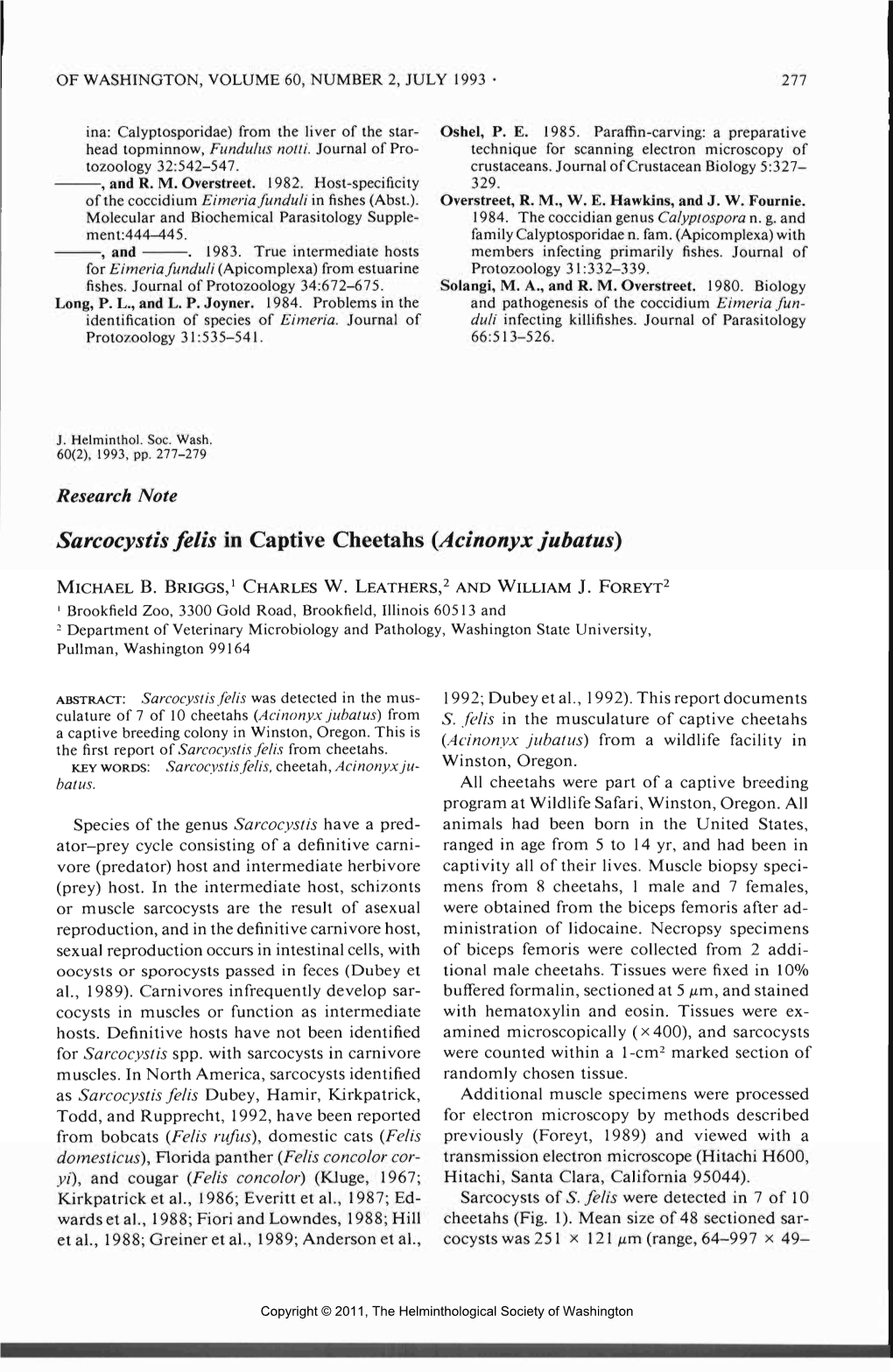 Sarcocystis Felis in Captive Cheetahs (Acinonyx Jubatus)