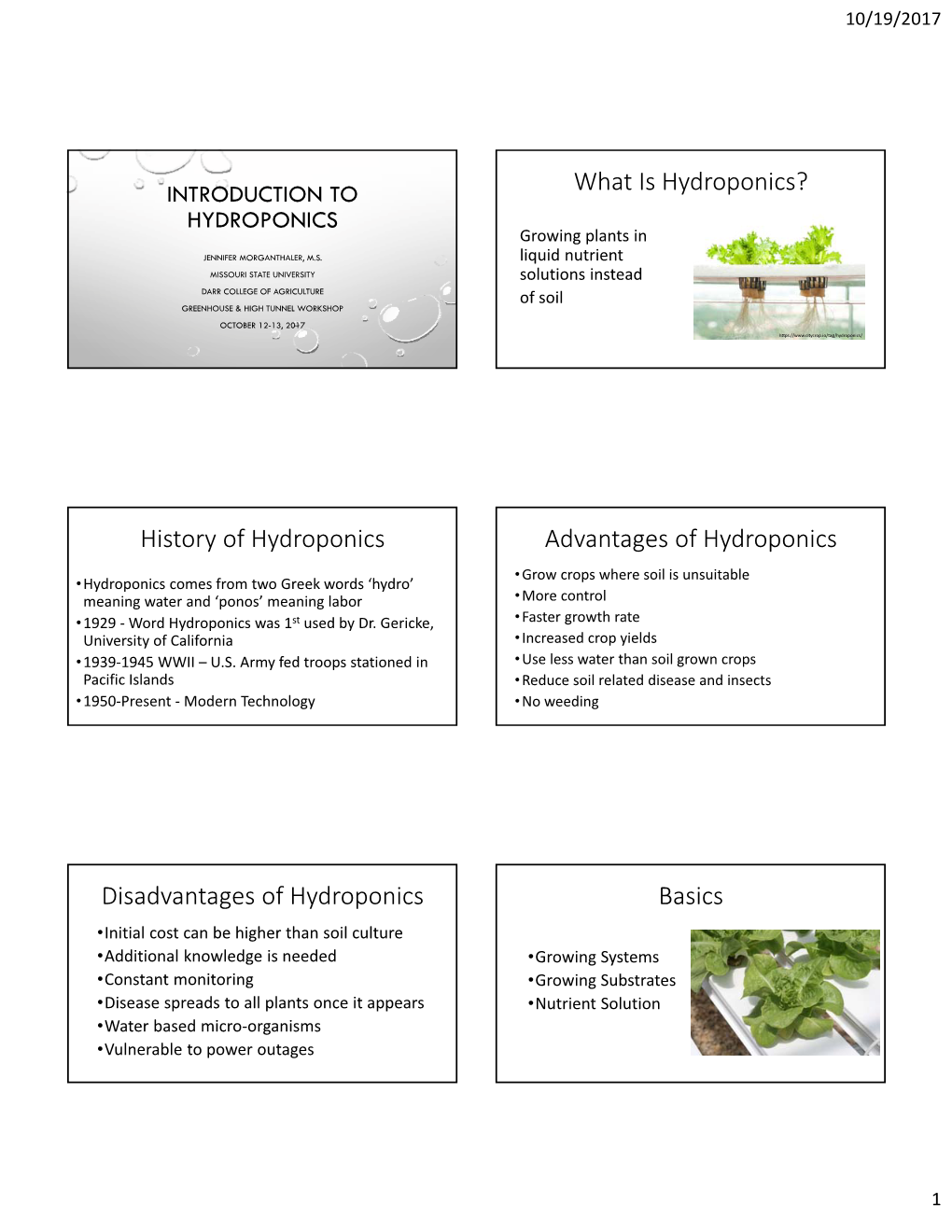 Intro to Hydroponics (PDF)