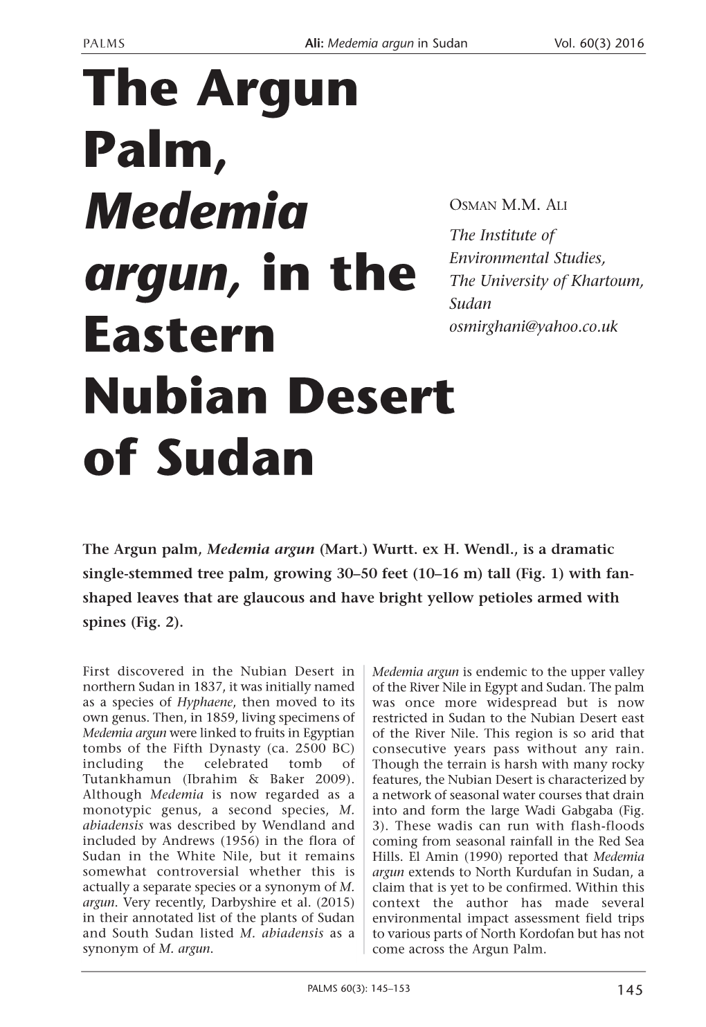 The Argun Palm, Medemia Argun, in the Eastern Nubian Desert of Sudan