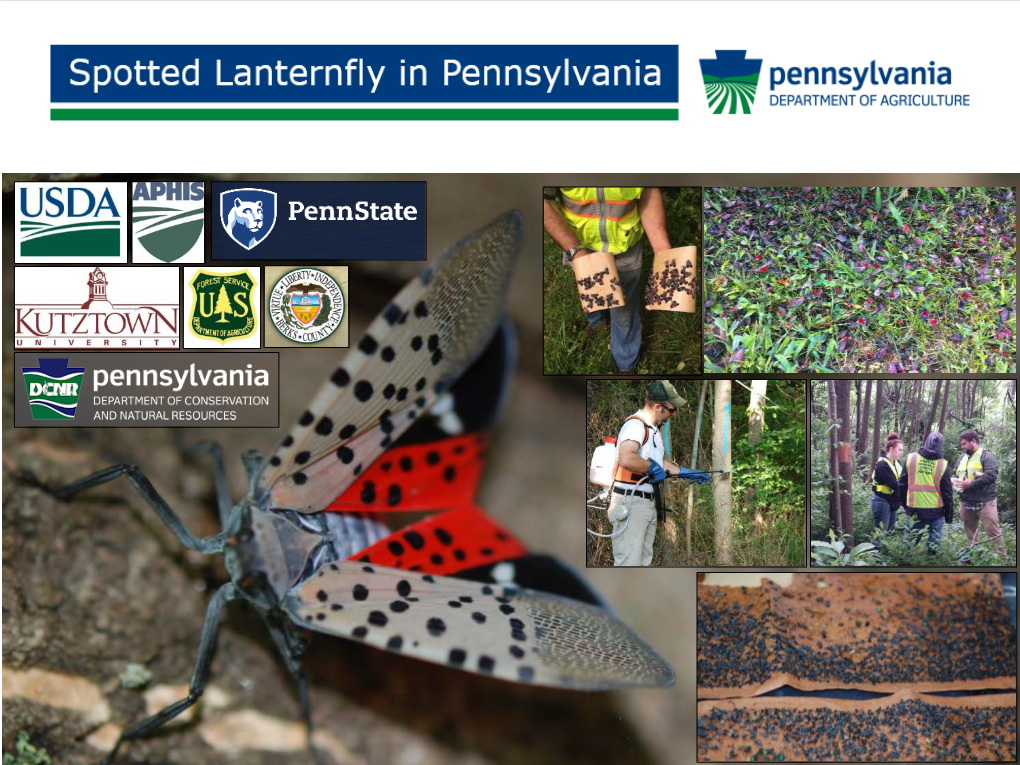 On September 22, 2014, the Entomology Program of the Pennsylvania Department of Agriculture Received a Report from an Educator from the Pennsylvania Game Commission