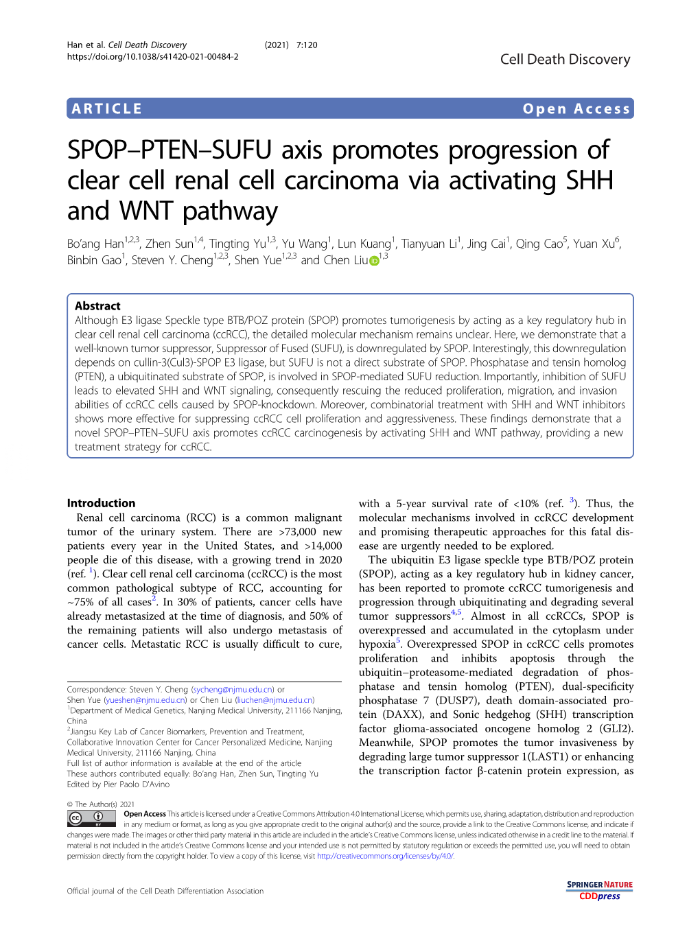 SPOP–PTEN–SUFU Axis Promotes Progression of Clear Cell Renal Cell