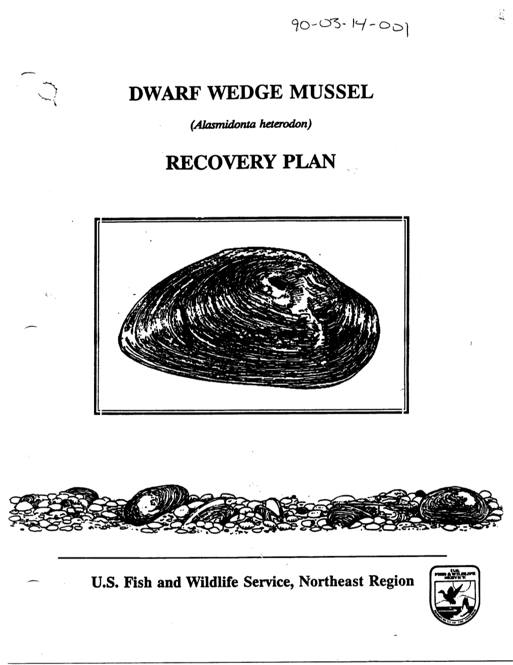 Dwarf Wedge Mussel Recovery Plan