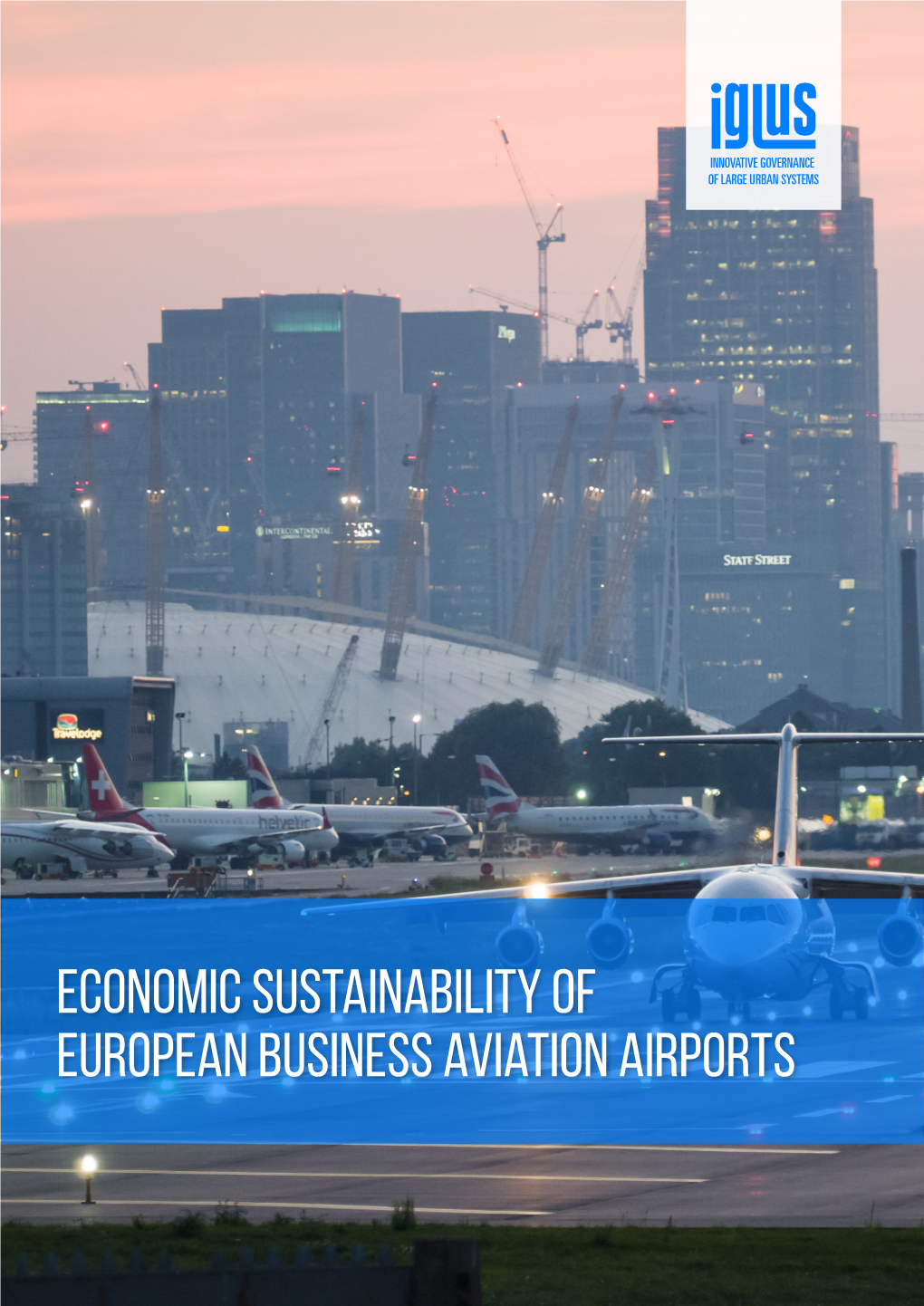 Economic Sustainability of European Business Aviation Airports TABLE of CONTENTS