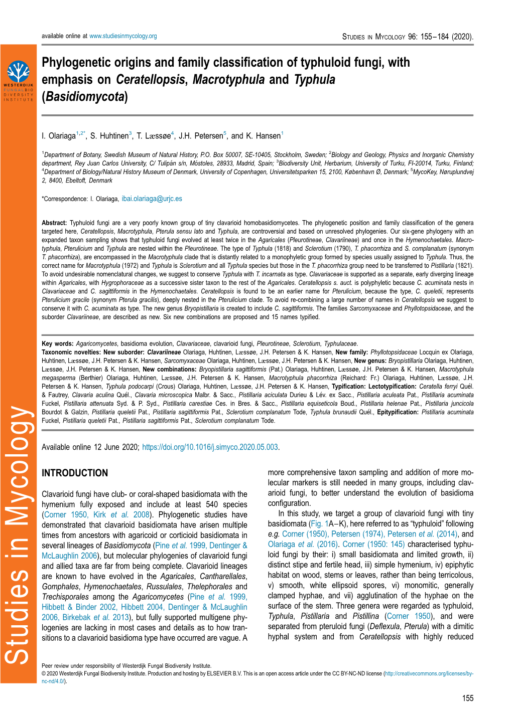 Phylogenetic Origins and Family Classification