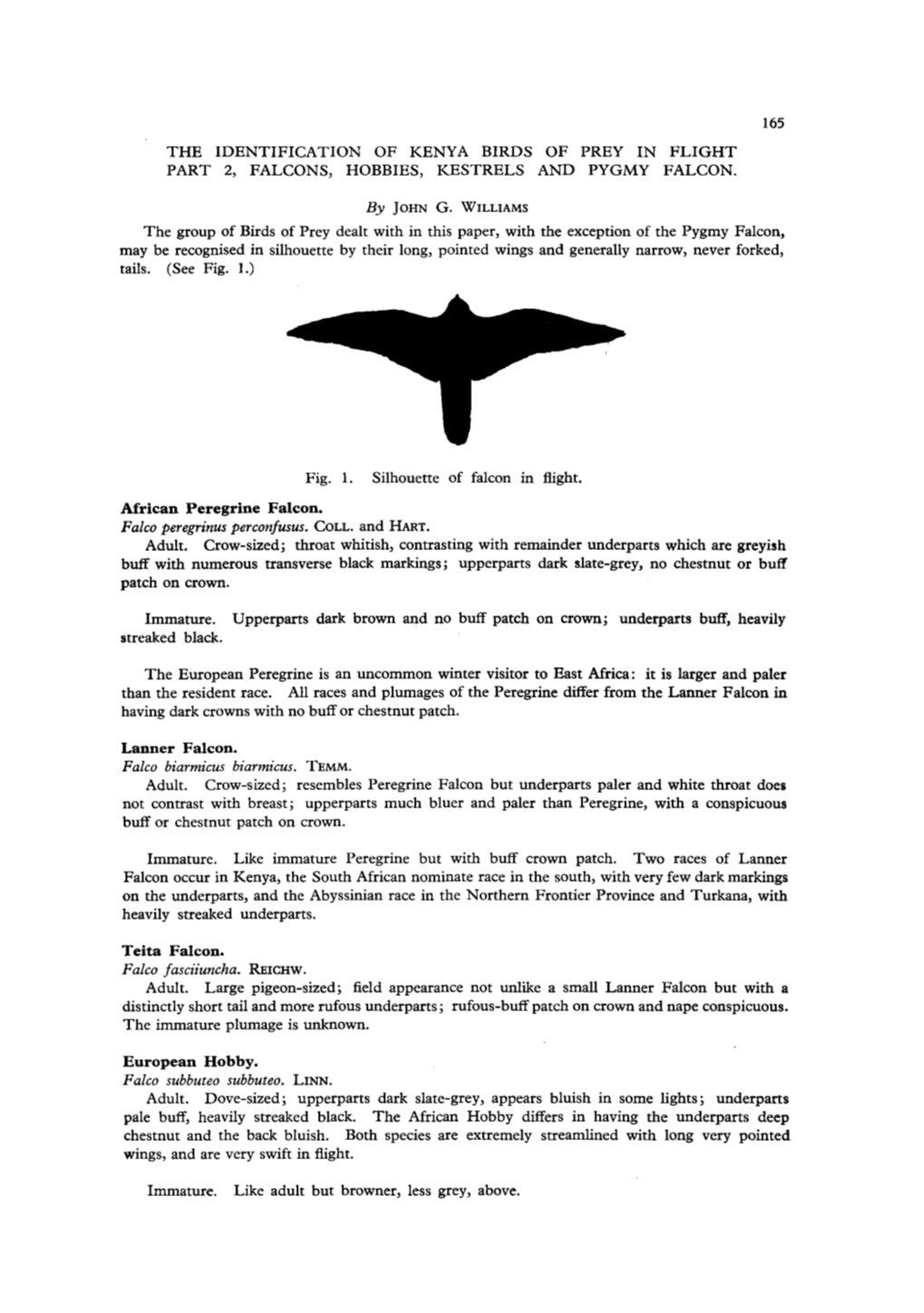 The Identification of Kenya Birds of Prey in Flight Part 2, Falcons, Hobbies, Kestrels and Pygmy Falcon