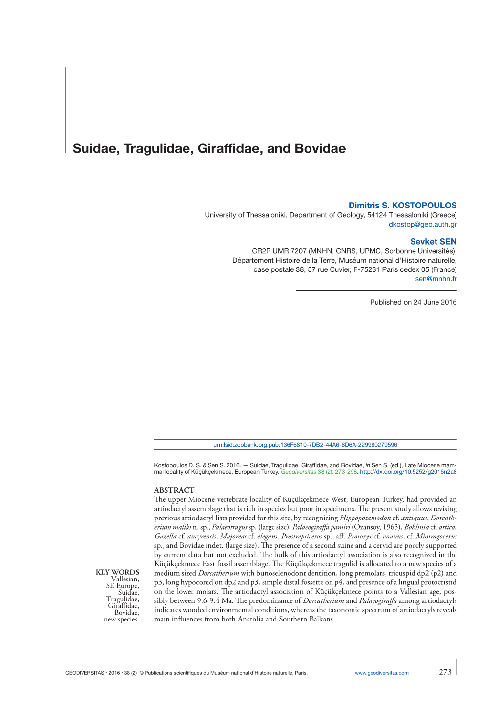 Suidae, Tragulidae, Giraffidae, and Bovidae