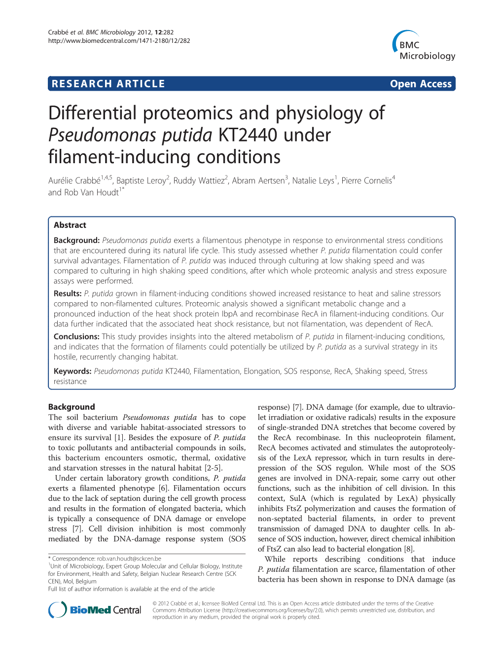 Differential Proteomics and Physiology of Pseudomonas Putida KT2440