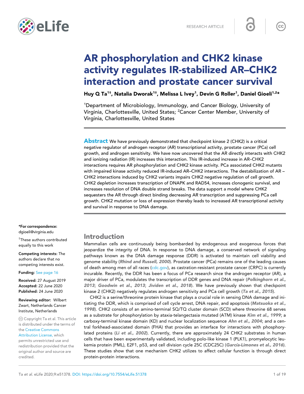 AR Phosphorylation and CHK2 Kinase Activity Regulates IR-Stabilized AR