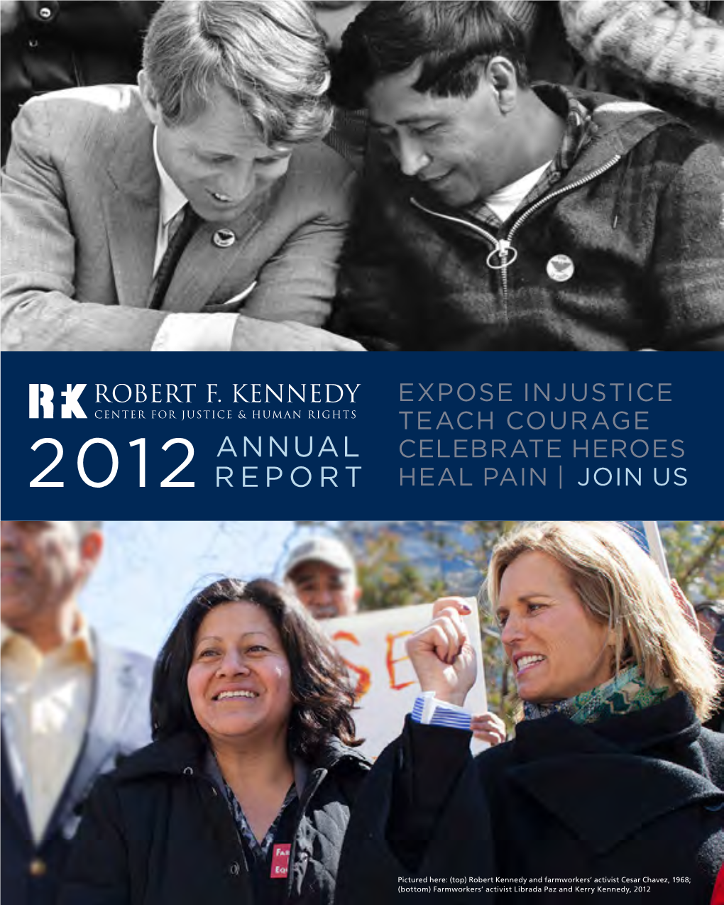 2012 Annual Report of the Robert F