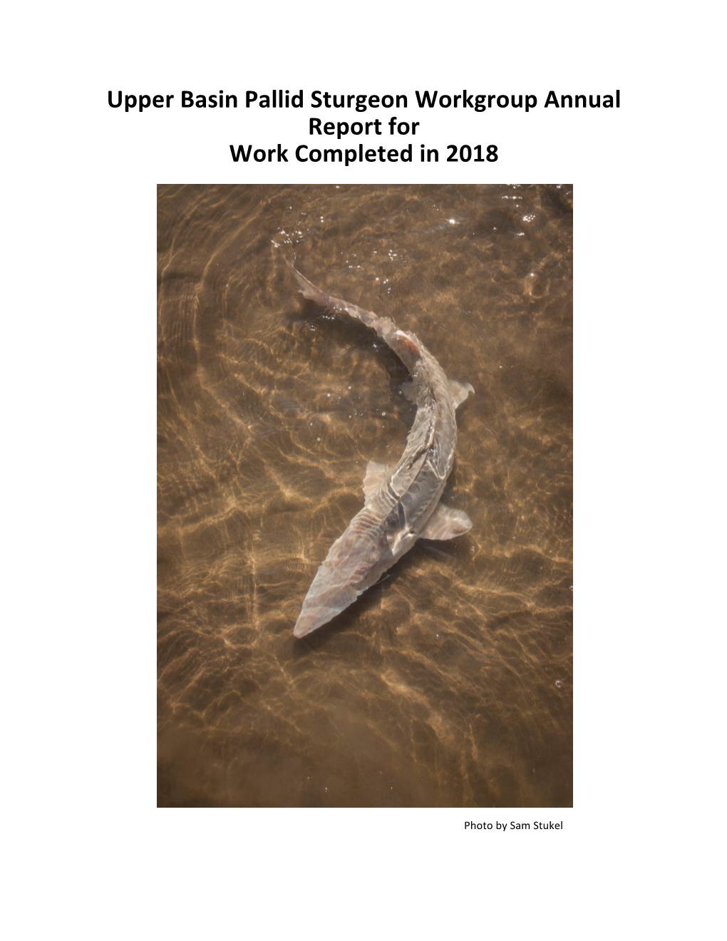 Upper Basin Pallid Sturgeon Workgroup Annual Report for Work Completed in 2018