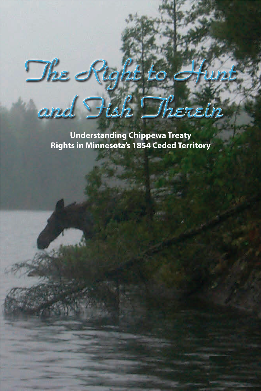 Understanding Chippewa Treaty Rights In