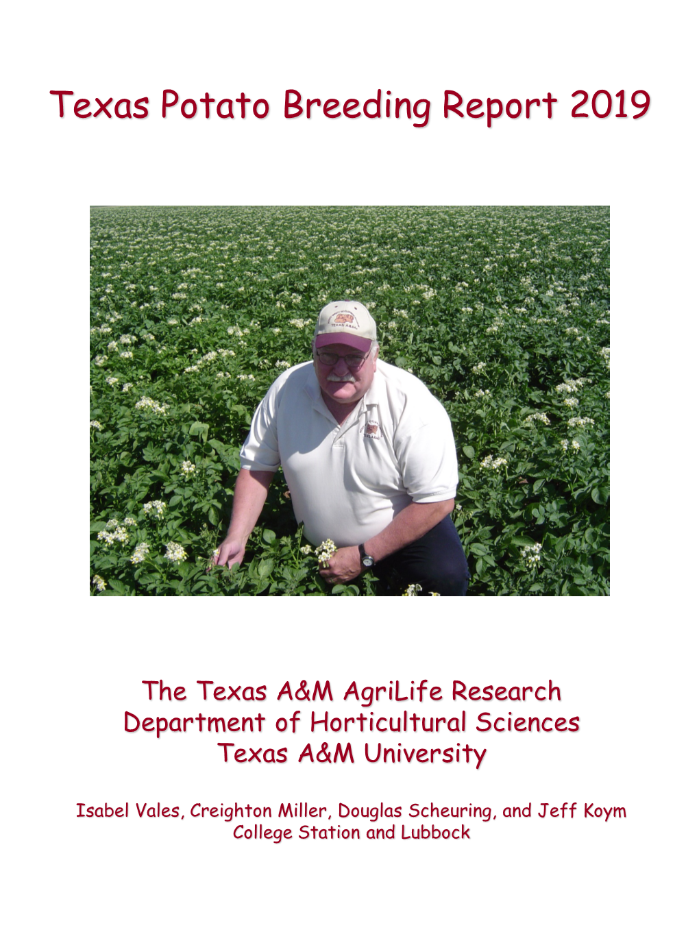 Texas Potato Breeding Report 2019