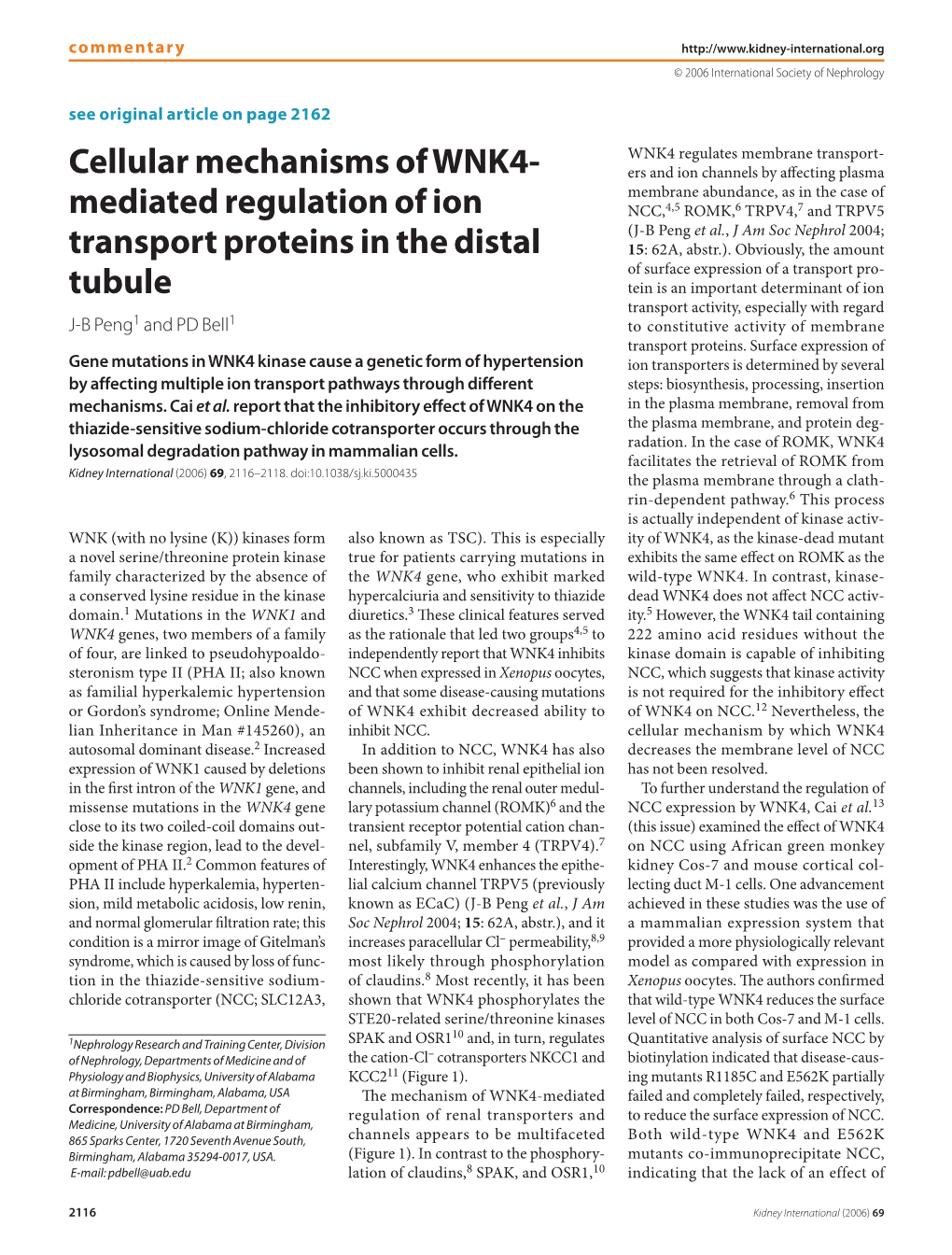 Cellular Mechanisms of WNK4-Mediated Regulation of Ion Transport Proteins in the Distal Tubule