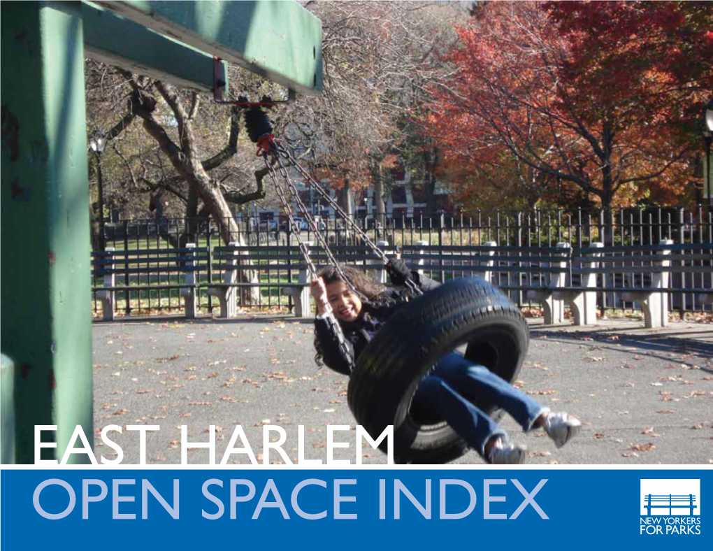 EAST HARLEM Open Space Index