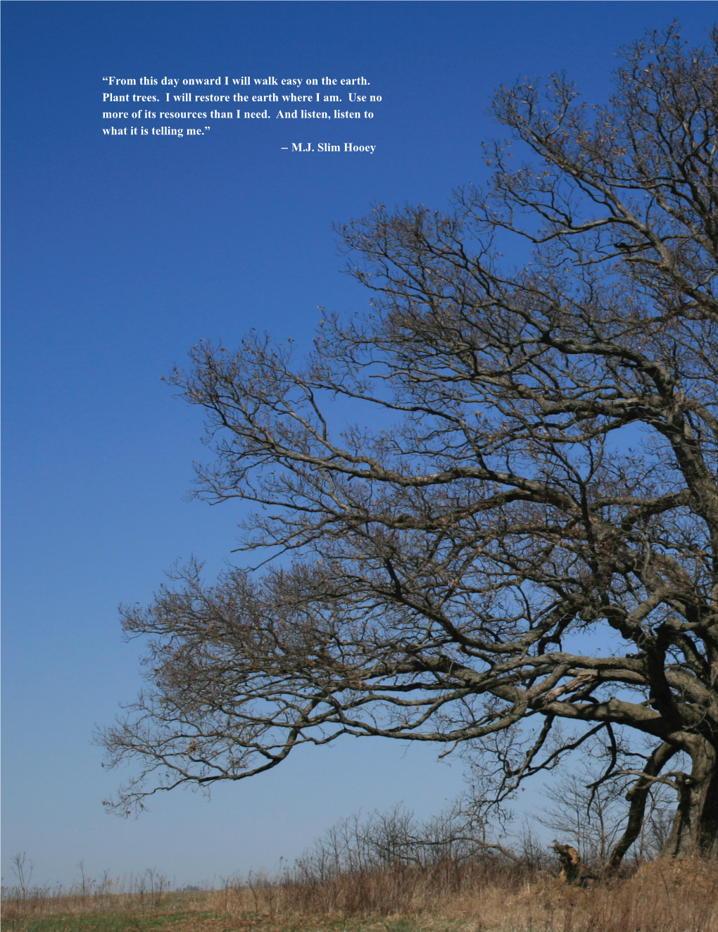 Indiana Big Tree Register 2010