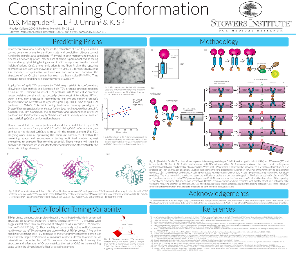 Constraining Conformation D.S