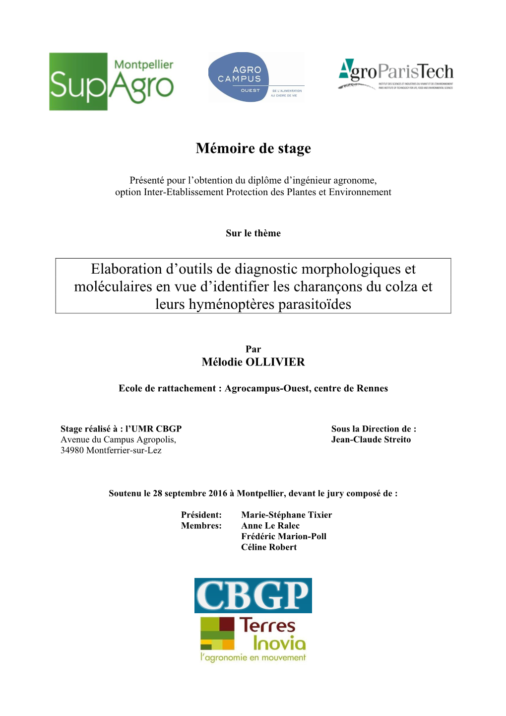 Mémoire De Stage Elaboration D'outils De Diagnostic Morphologiques Et Moléculaires En Vue D'identifier Les Charançons Du