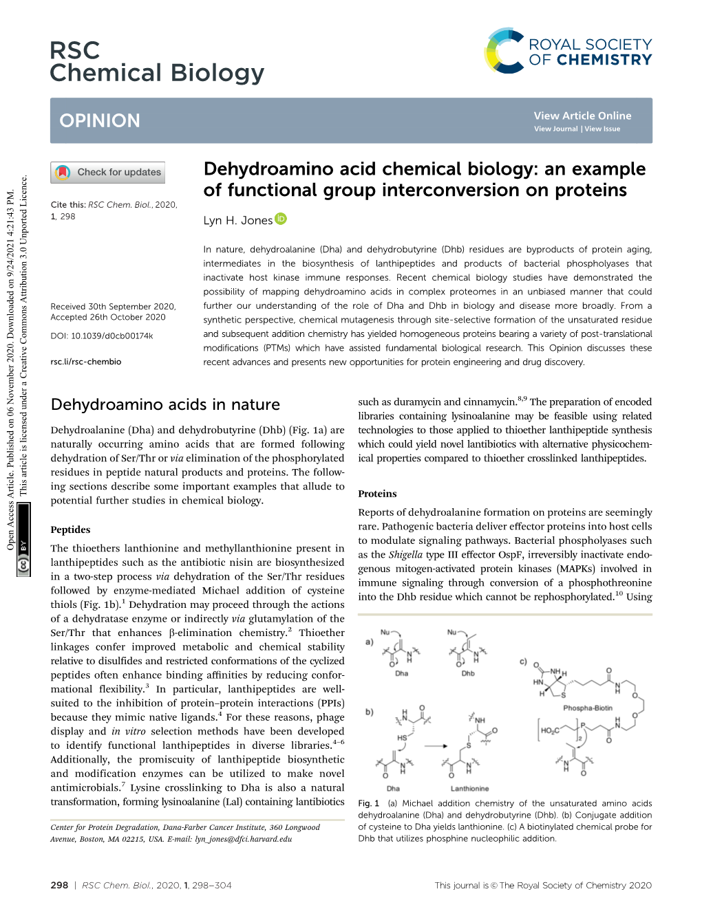 Dehydroamino Acid Chemical Biology: an Example of Functional Group Interconversion on Proteins Cite This: RSC Chem