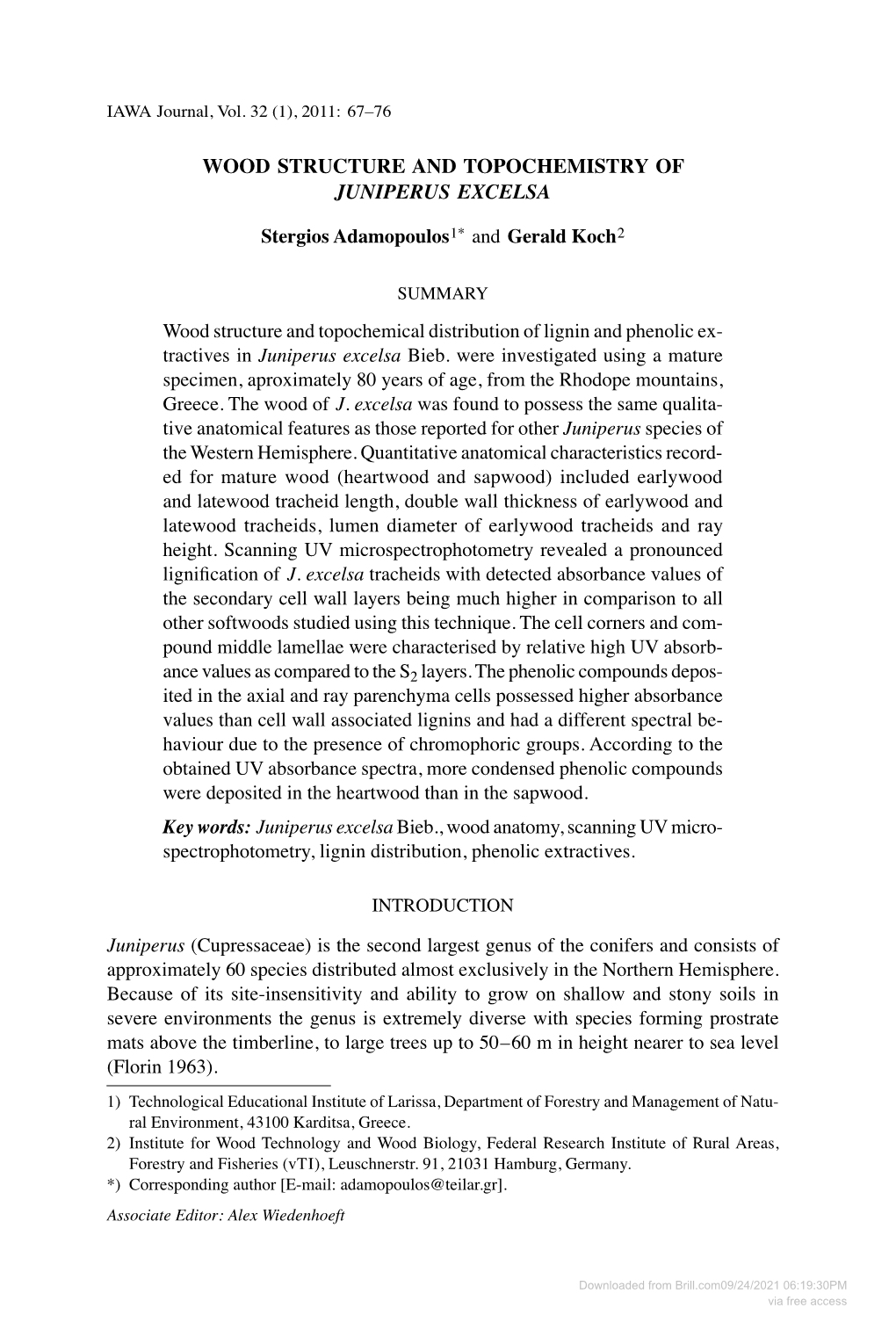 WOOD STRUCTURE and Topochemistry of Juniperus Excelsa