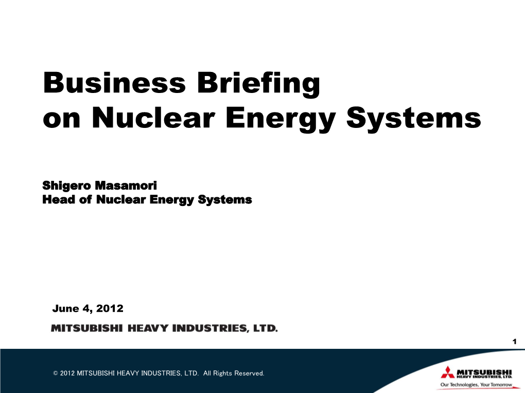 Business Briefing on Nuclear Energy Systems