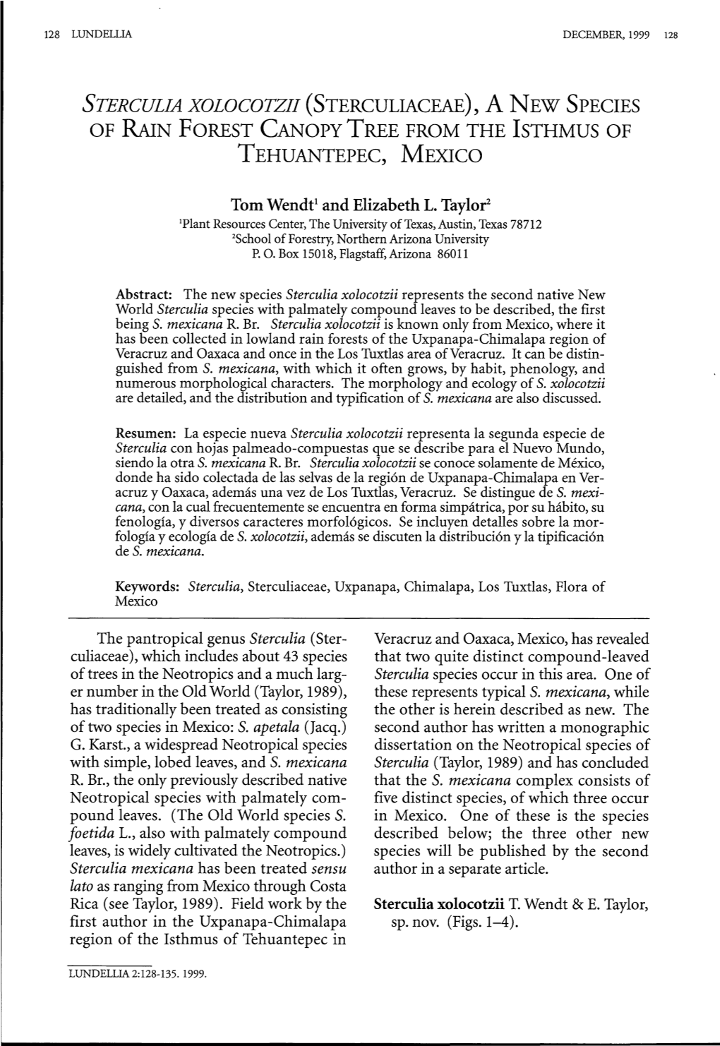 A New Species of Rain Forest Canopy Tree from the Isthmus of Tehuantepec, Mexico