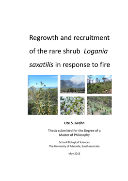 Regrowth and Recruitment of the Rare Shrub Logania Saxatilis in Response to Fire