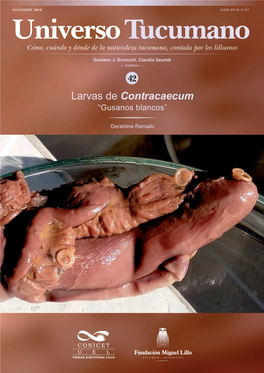 Larvas De Contracaecum Sobre Estómago De Tararira