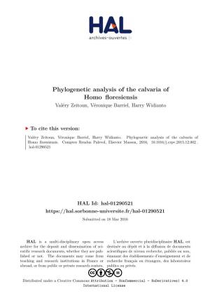 Phylogenetic Analysis of the Calvaria of Homo Floresiensis Valéry Zeitoun, Véronique Barriel, Harry Widianto