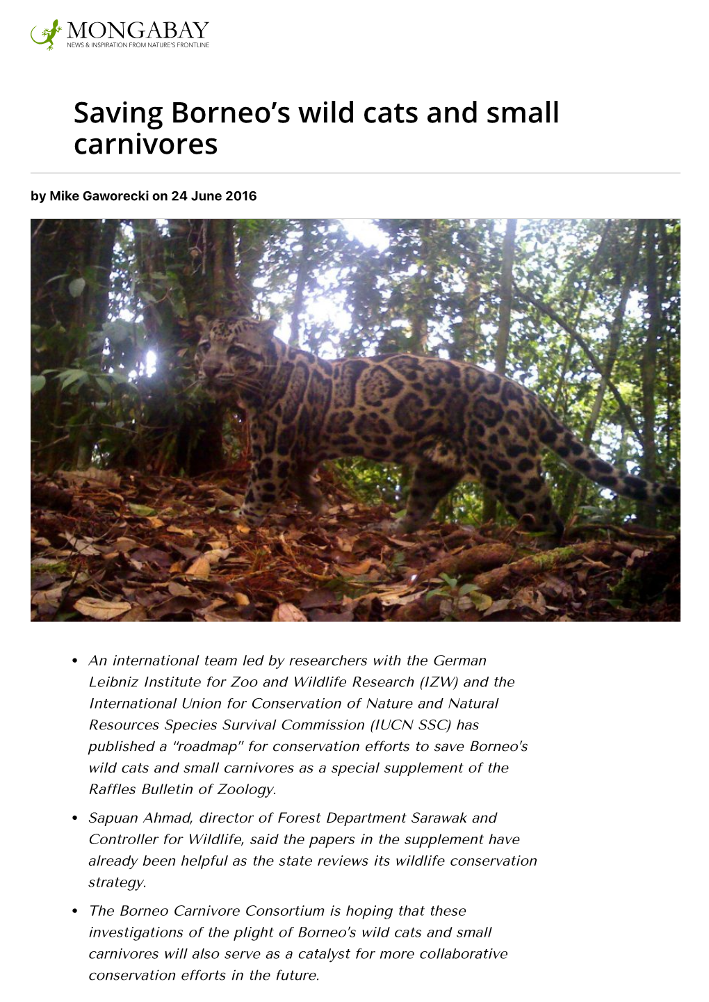 Saving Borneo's Wild Cats and Small Carnivores
