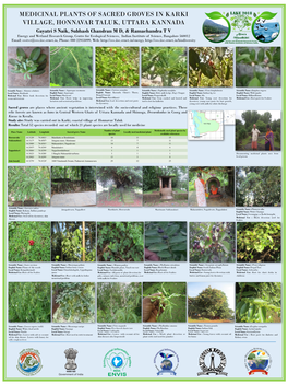 Medicinal Plants of Sacred Groves in Karki Village