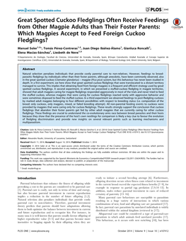 Which Magpies Accept to Feed Foreign Cuckoo Fledglings?