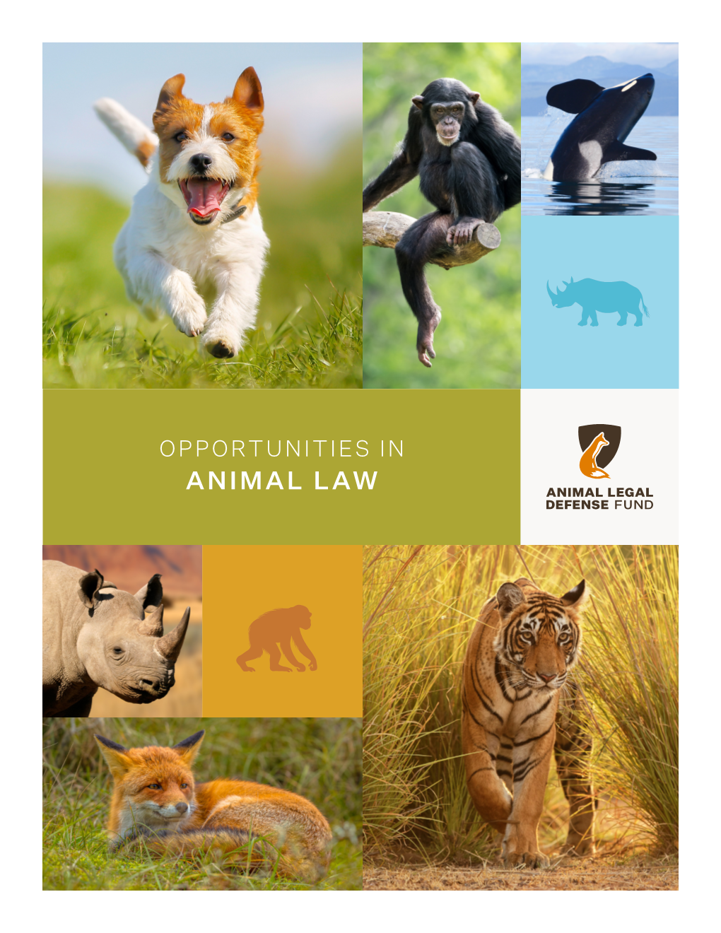 Opportunities in Animal Law Table of Contents