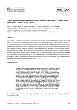 Zootaxa, a New Species of Coralsnake of the Genus Calliophis