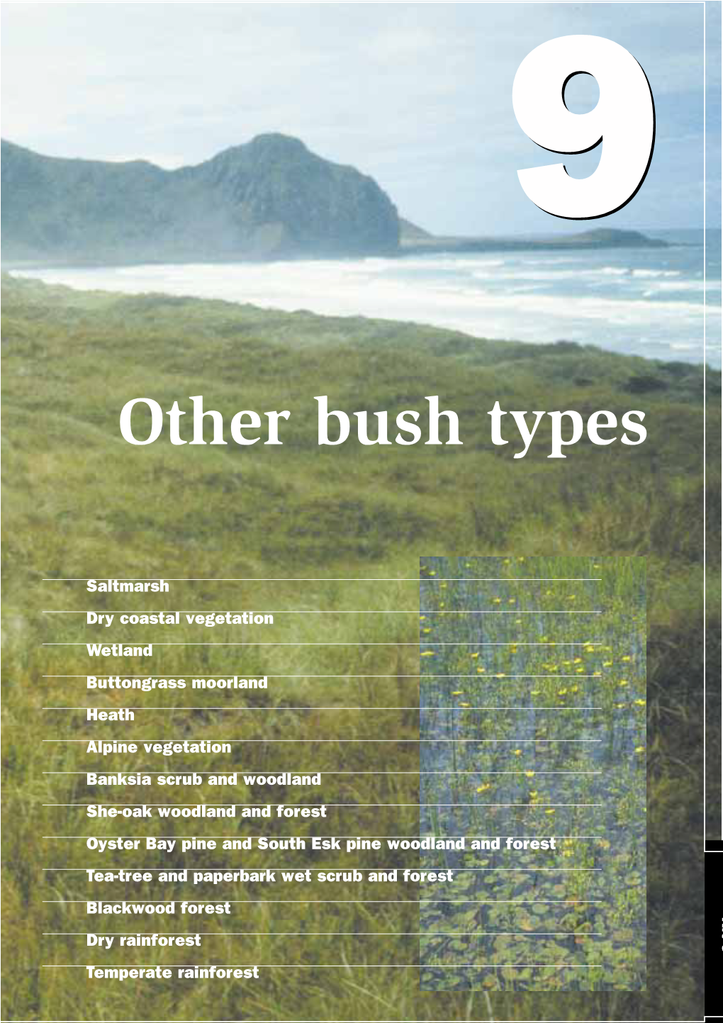 Other Bush Types