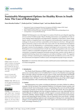 Sustainable Management Options for Healthy Rivers in South Asia: the Case of Brahmaputra