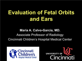 Evaluation of Fetal Orbits and Ears