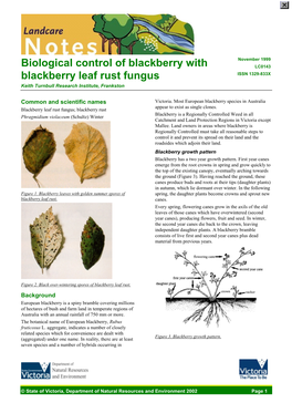 Biological Control of European Blackberry by the Rust Fungus (DSE