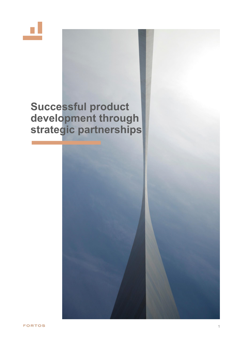 Successful Product Development Through Strategic Partnerships