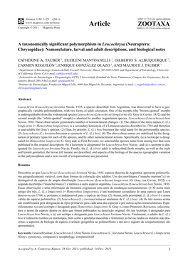 A Taxonomically Significant Polymorphism in Leucochrysa (Neuroptera: Chrysopidae): Nomenclature, Larval and Adult Descriptions, and Biological Notes
