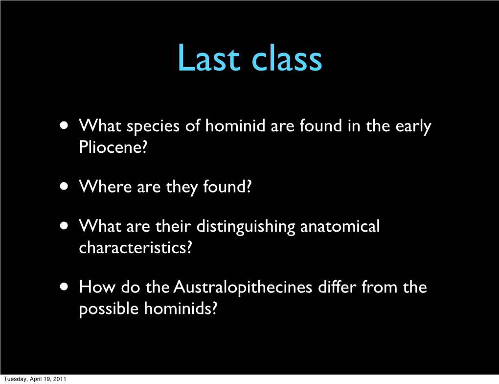 What Species of Hominid Are Found in the Early Pliocene?