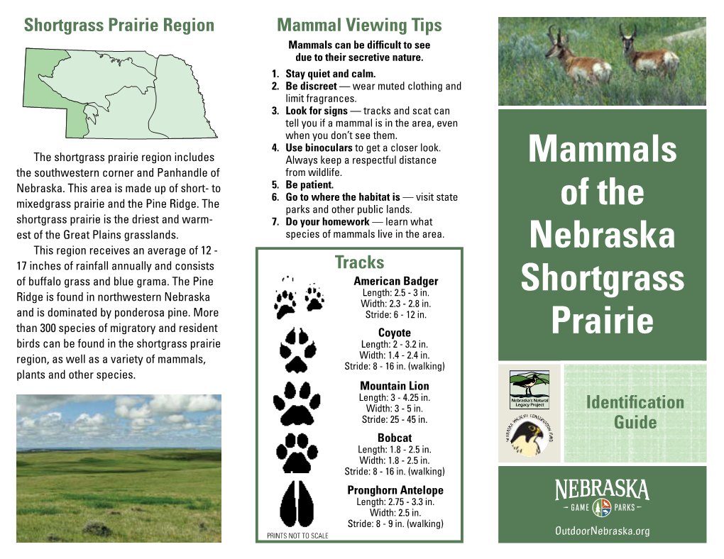 Mammals of the Nebraska Shortgrass Prairie