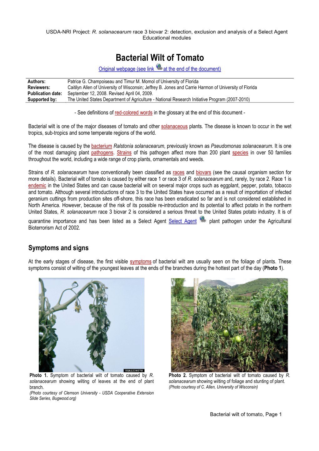 Bacterial Wilt of Tomato Original Webpage (See Link at the End of the Document)