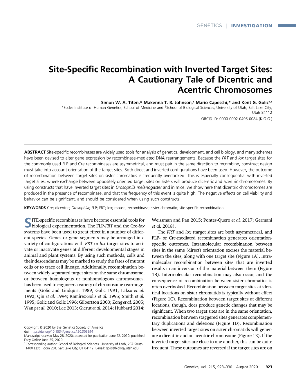Site-Specific Recombination with Inverted Target Sites: A