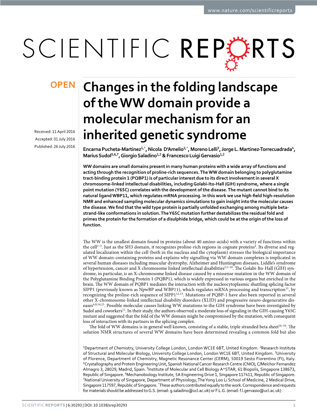 Changes in the Folding Landscape of the WW Domain Provide a Molecular Mechanism for an Inherited Genetic Syndrome