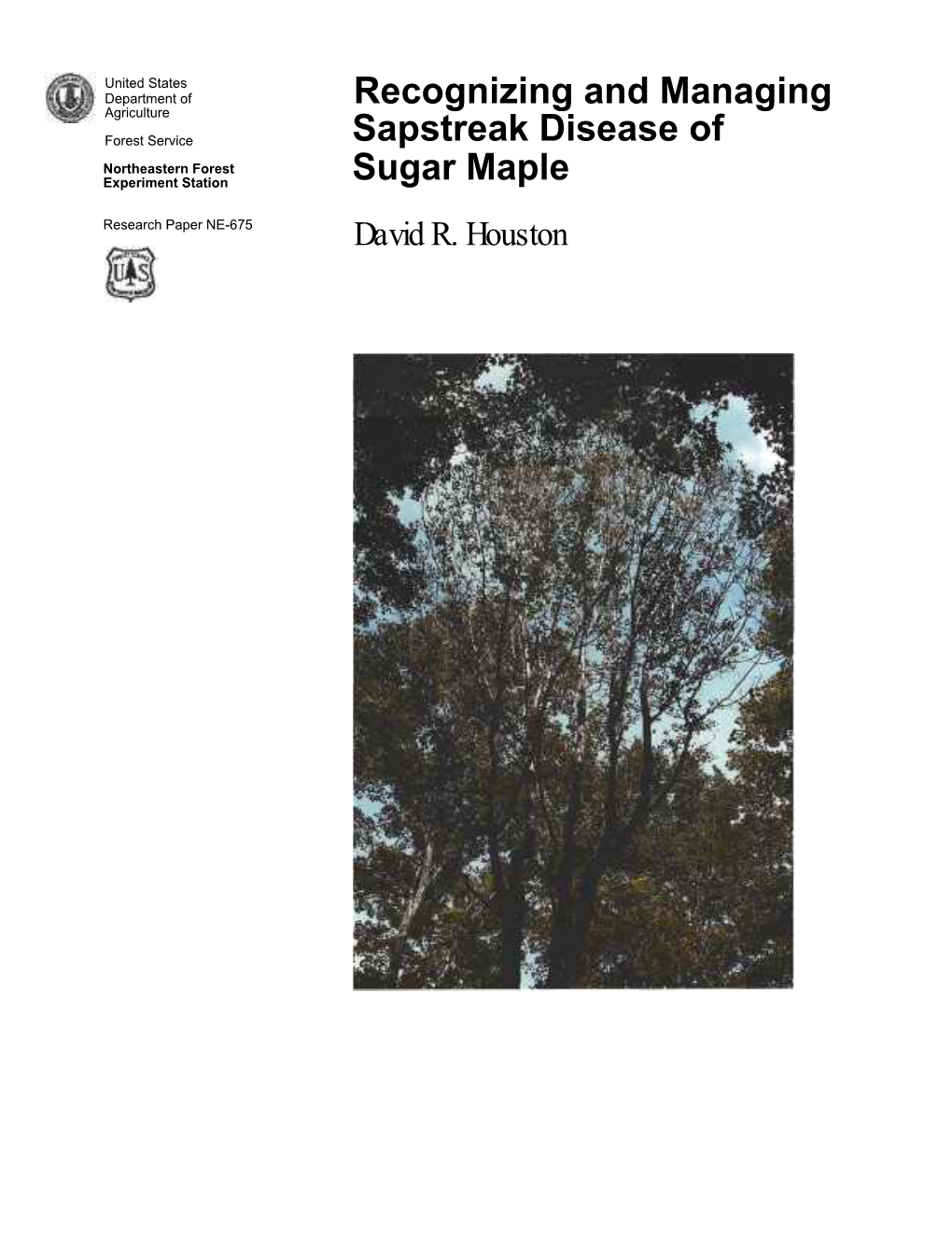 Sapstreak of Sugar Maple