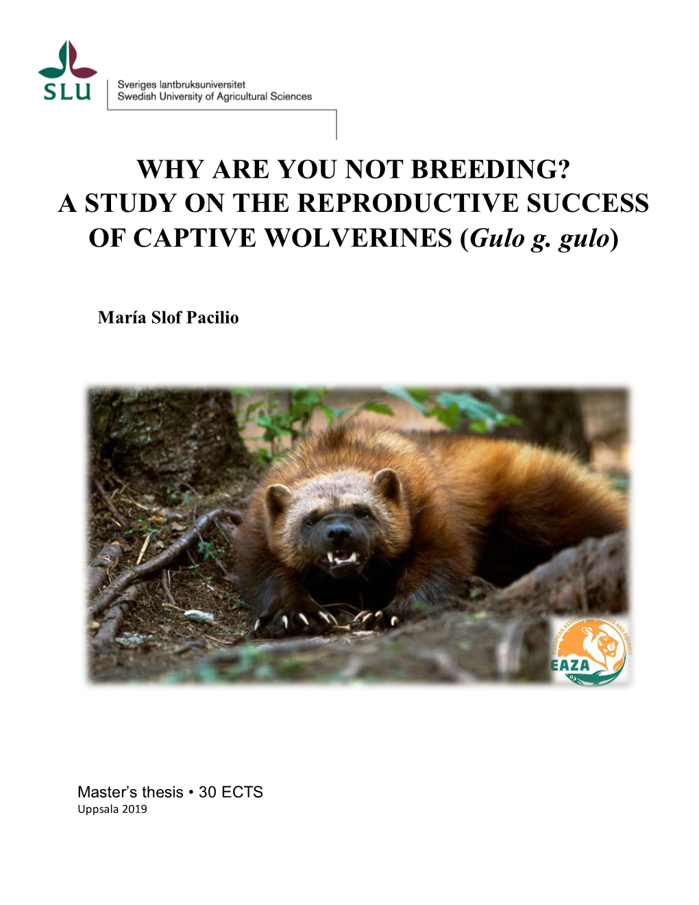 A STUDY on the REPRODUCTIVE SUCCESS of CAPTIVE WOLVERINES (Gulo G