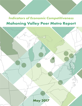Mahoning Valley Peer Metro Report