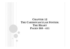 Chapter 12 the Cardiovascular System: the Heart Pages