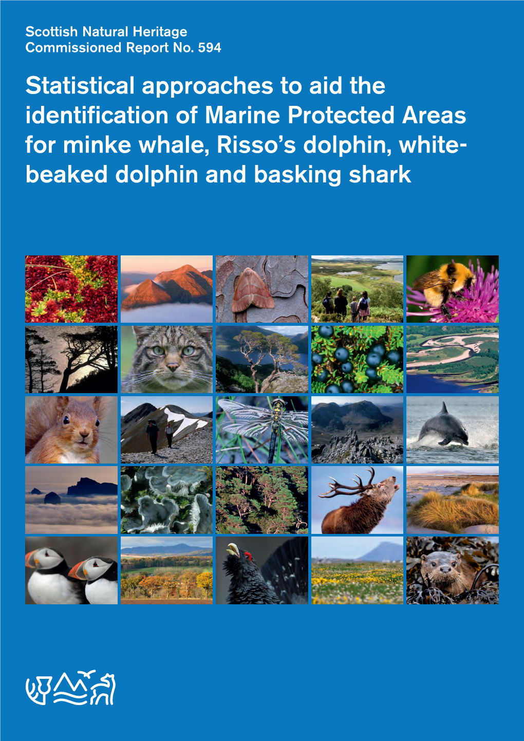 SNH Commissioned Report 594: Statistical Approaches to Aid the Identification of Marine Protected Areas for Minke Whale, Risso