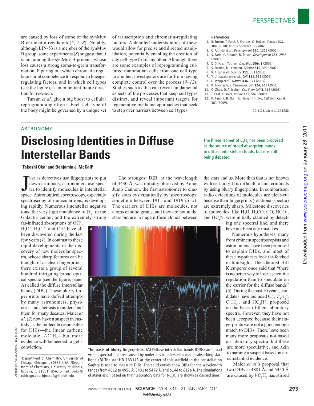 Disclosing Identities in Diffuse Interstellar Bands